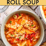 overhead view of a bowl of cabbage soup