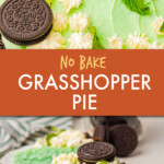 Two images of grasshopper pie from different angles