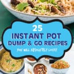 INSTANT POT DUMP AND START RECIPS FOR BEGINNERS