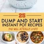 INSTANT POT DUMP AND START RECIPES