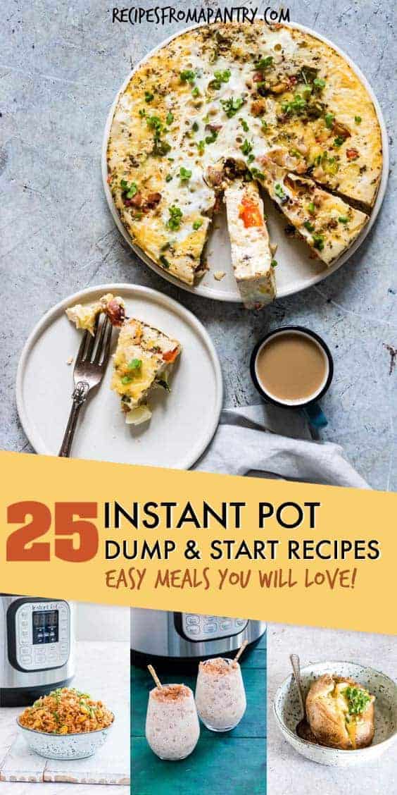INSTANT POT DUMP AND START RECIPES