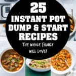 instant pot dump and go recipes
